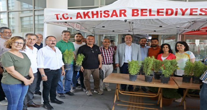 Akhisar Belediyesi Kendi Yetiştirdiği 5 Bin Fesleğeni Halka Dağıttı