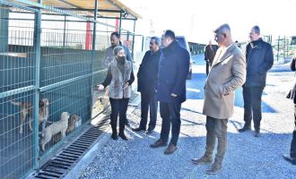 Akhisar Belediyesi Doğal Yaşam Alanı Hizmete Başladı