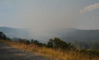 Akhisar’da Korkutan Orman Yangını