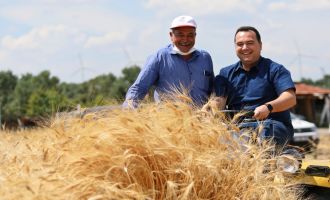 Atalık Karakılçık Buğdayı Akhisar’da Hayat Buldu