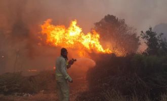 Orman Yangınına Müdahale Sürüyor: 8 Ev Yandı 40 Kişi Tahliye Edildi