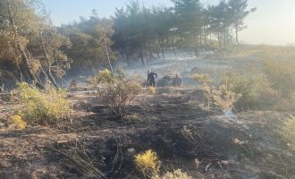 Selçikli Mahallesindeki Orman Yangını Kontrol Altına Alındı